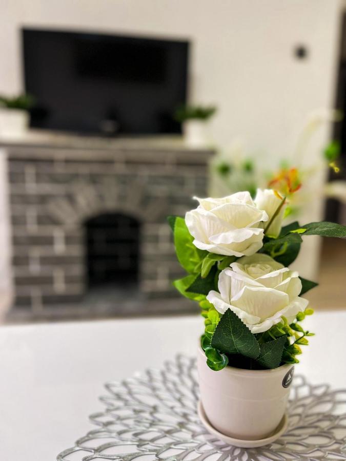 Apartment Tatjana Kragujevac Dış mekan fotoğraf