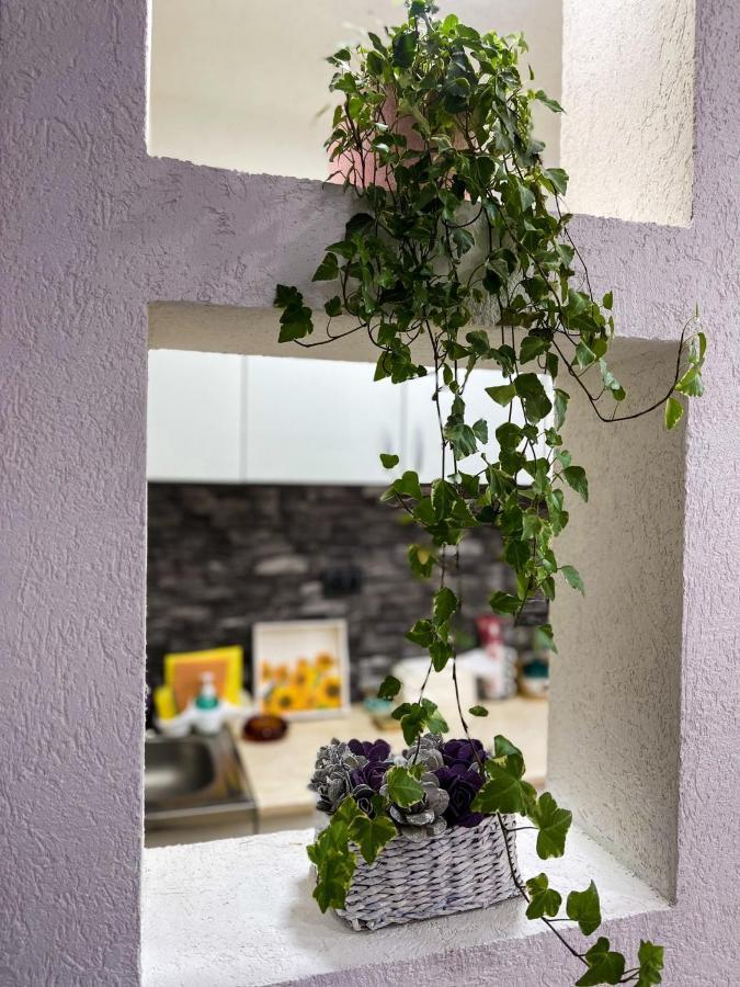 Apartment Tatjana Kragujevac Dış mekan fotoğraf