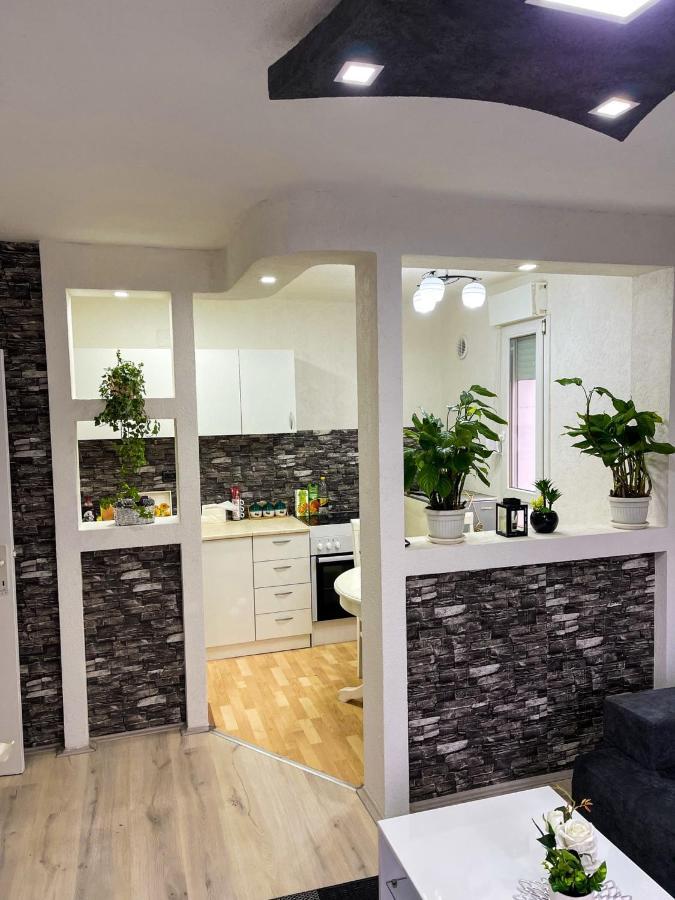 Apartment Tatjana Kragujevac Dış mekan fotoğraf